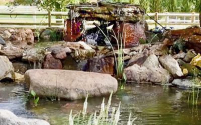 Masters in Waterfall & Water Features Construction