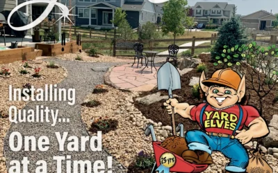 Crafting Your Oasis: Tips for Landscape Construction Perfection